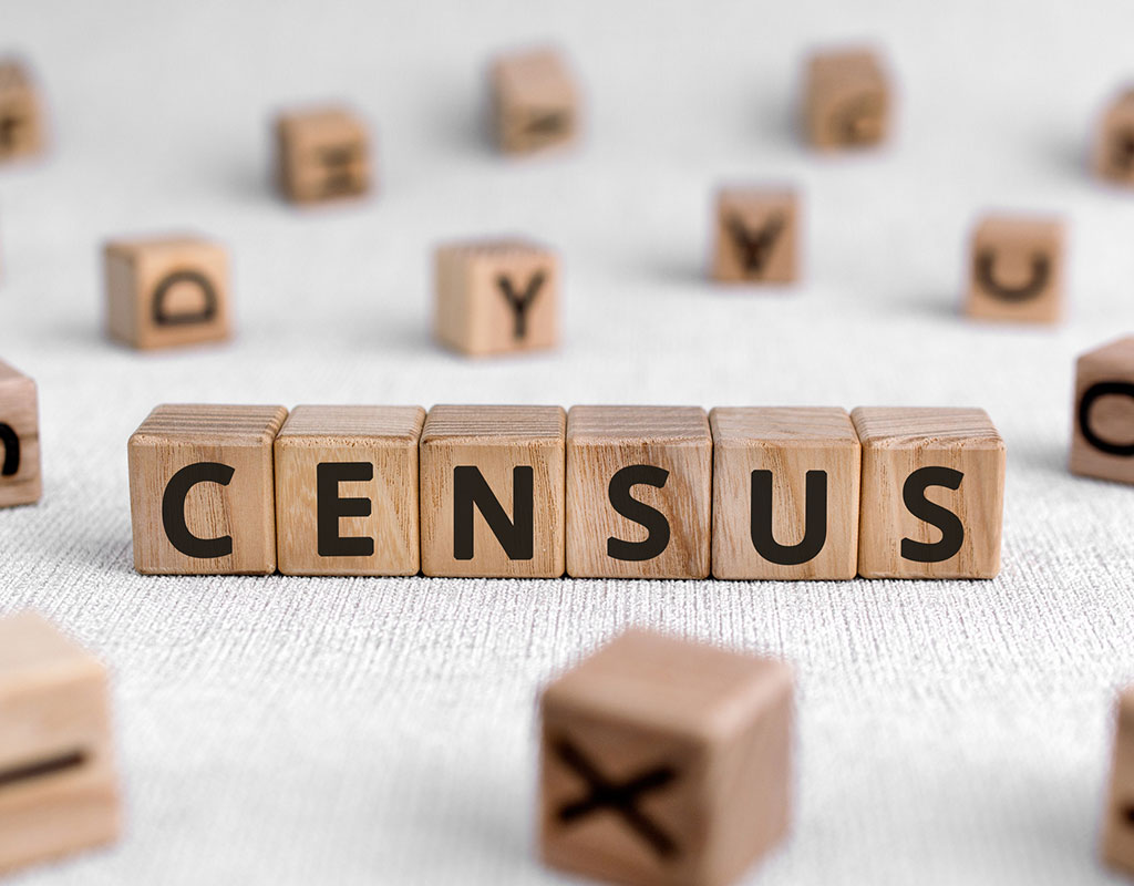 letter blocks spelling out the word census